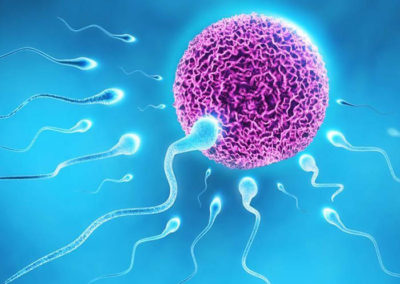 male infertility treatment in jayanagar bangalore