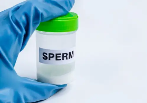 Home Neelam 7 best low sperm treatment in jayanagar bangalore